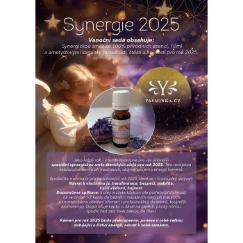 SYNERGIE 2025